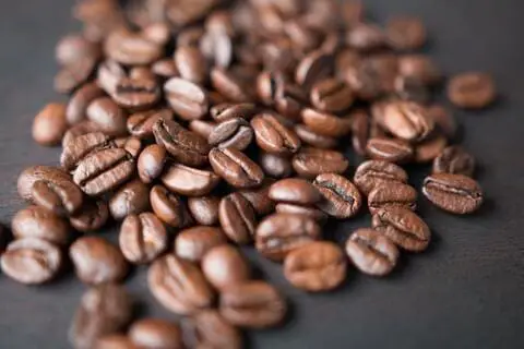 Non Oily Coffee Beans