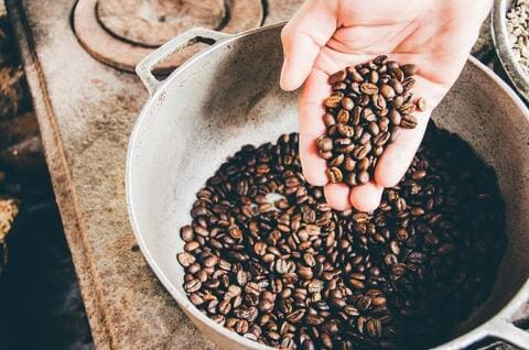 Geisha Coffee Beans