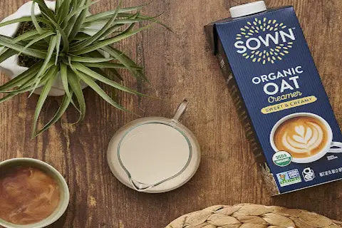 5 Amazing Barista Oat Milks For Coffee Lovers!