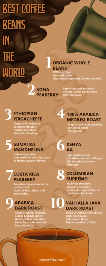 Best Coffee Beans In The World Infographic