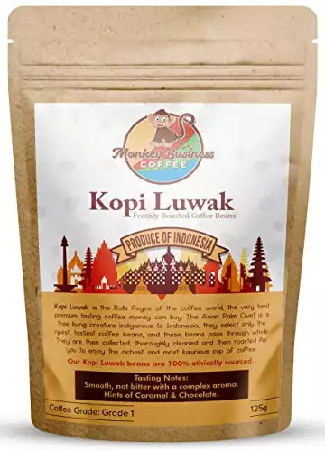Wild Kopi Luwak Coffee Whole Beans - Ethically Sourced