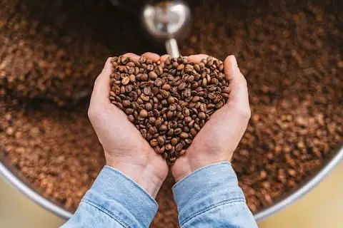 Learn The Different Types of Coffee Beans