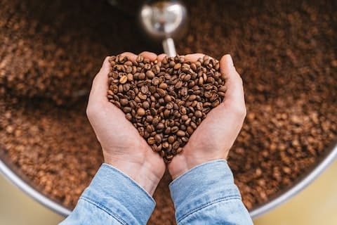 Learn The Different Types of Coffee Beans