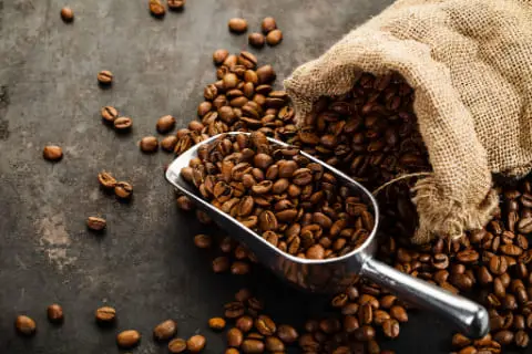 Coffee Roast Guide: 3 Reasons Why Coffee Beans Are Roasted